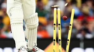 essay on cricket in hindi
