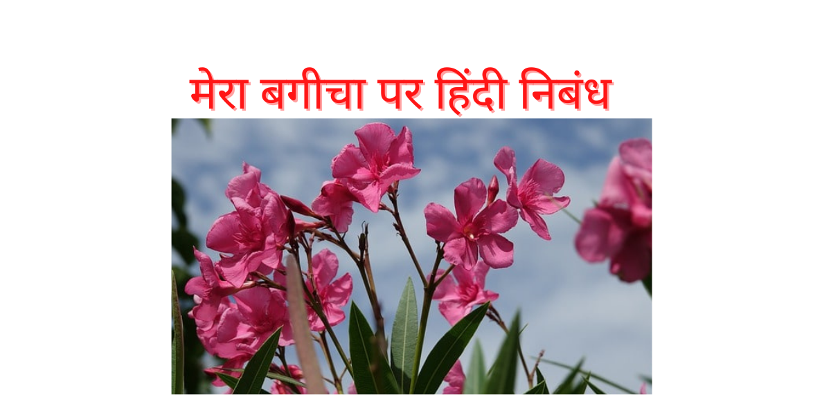 my garden essay in hindi