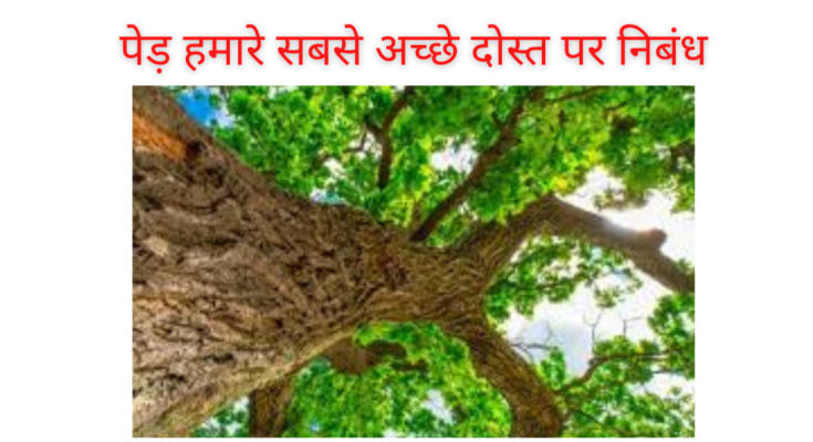 essay on trees our best friend in hindi