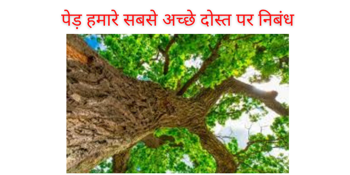 essay in hindi tree my friend