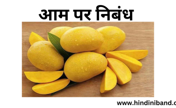 essay on mango in hindi